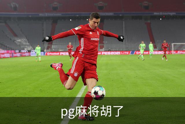 pg麻将胡了公司简介